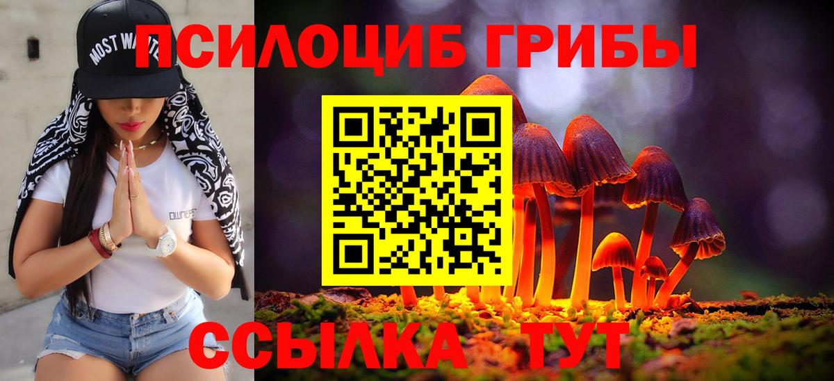 Псилоцибиновые грибы MAGIC MUSHROOMS Волоколамск