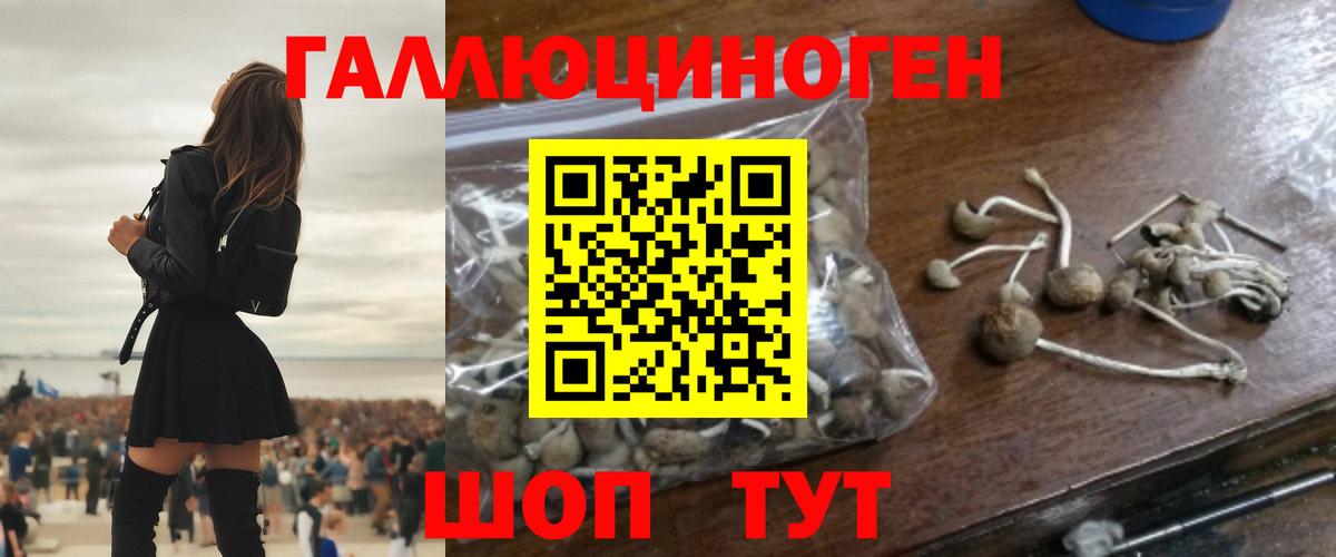 Волоколамск  Псилоцибиновые грибы прущие грибы  Вход с VPN  Псилоцибиновые грибы прущие грибы 
